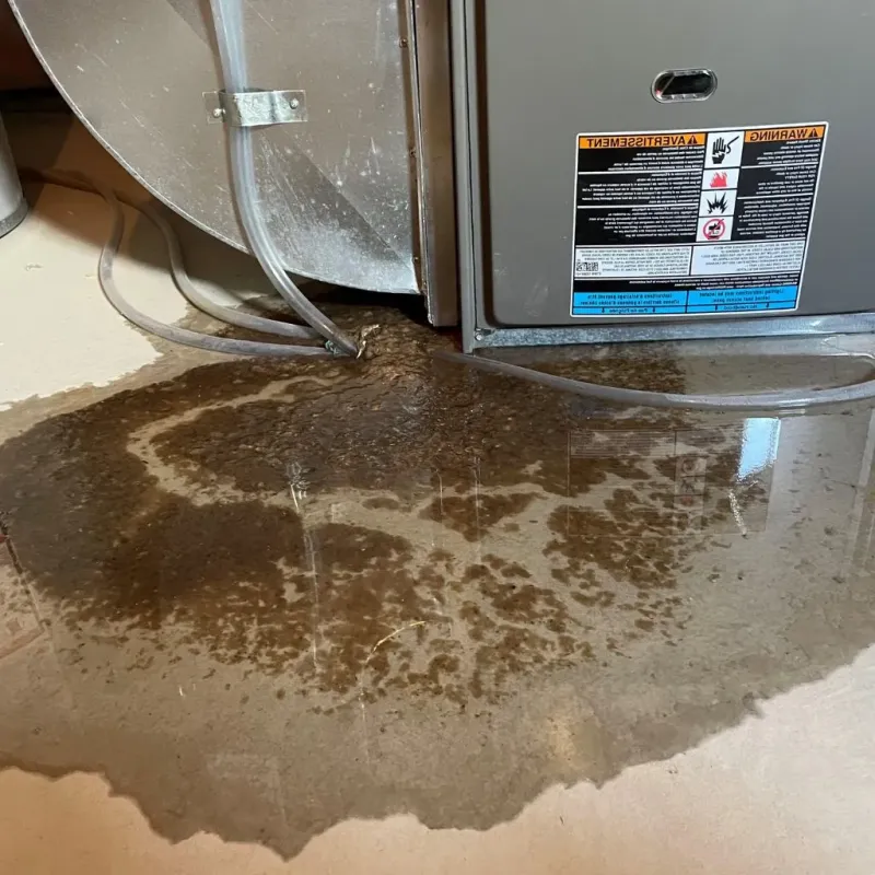 Pipe Burst and Leak Restoration in Slocomb, AL