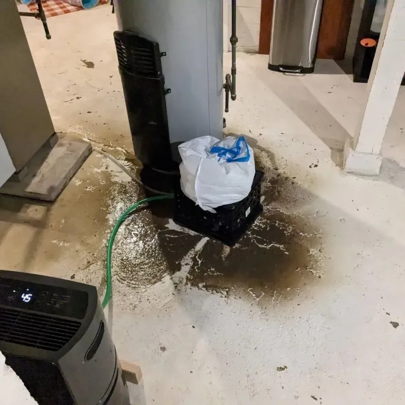 Sewage Backup Cleanup Service in Slocomb, AL